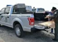 FWC Faces Questions Over Driver-Database Searches of Florida Wildlife Critics